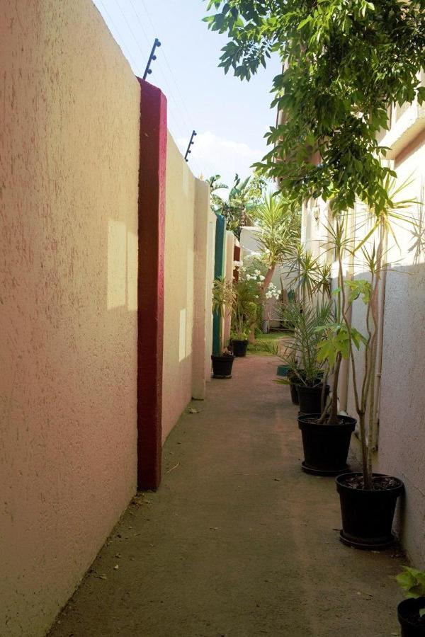 Houghton Guest House Johannesburg Zewnętrze zdjęcie